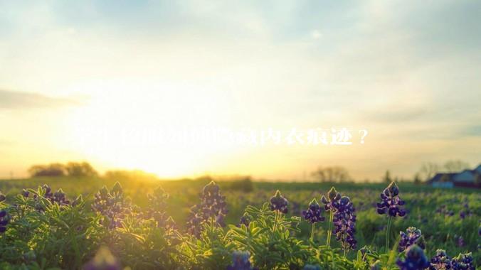 学生校服如何隐藏内衣痕迹?